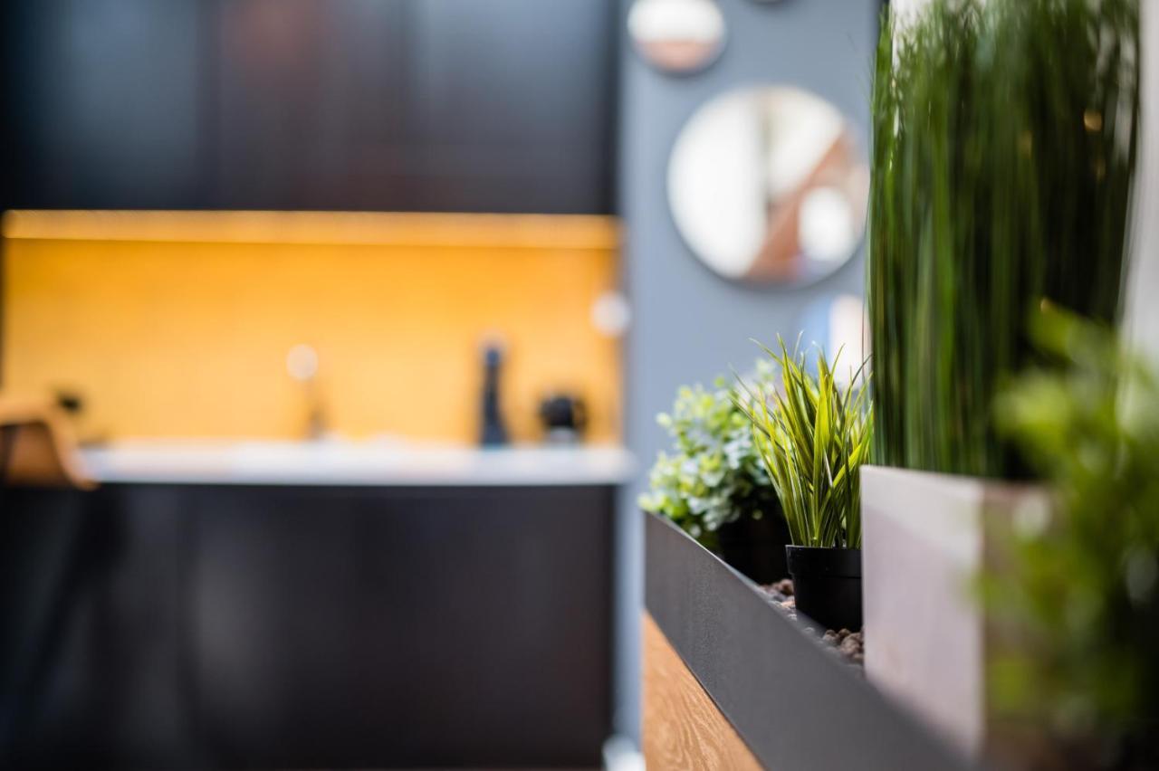 Wegierska Luxury Loft Wawelofts Apartment Krakow Bagian luar foto